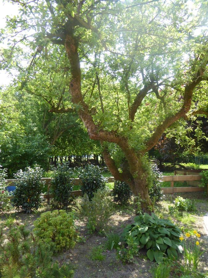 Ferienwohnung Elise Im Gulfhof Am Kanal Grossefehn Dış mekan fotoğraf